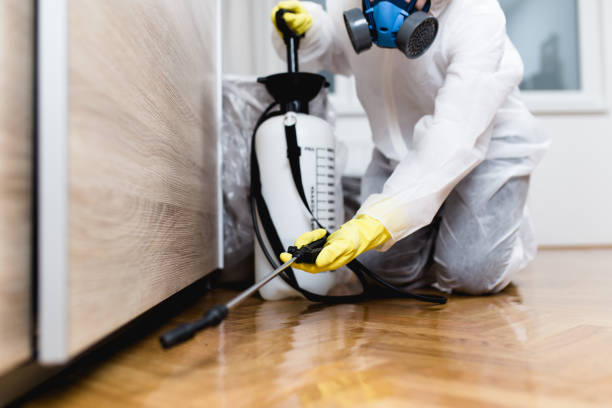 Best Affordable Pest Control Services  in Byron, MN