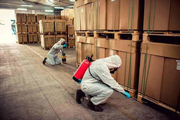 Best Wasp Removal Services  in Byron, MN