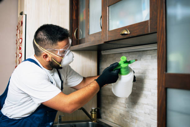 Best Emergency Pest Control  in Byron, MN