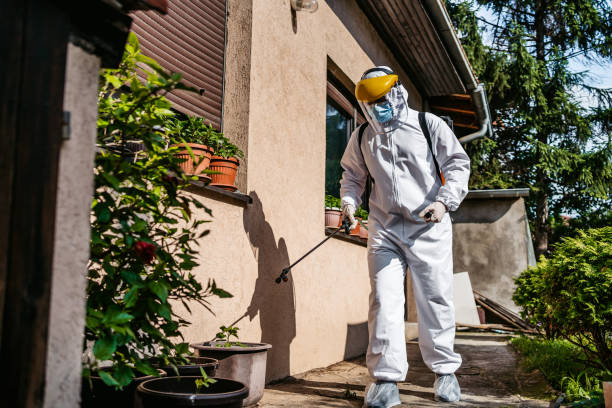 Best Rat Extermination Near Me  in Byron, MN