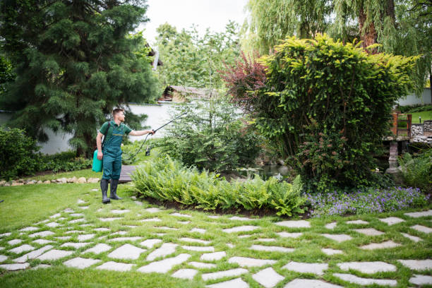 Best Pest Control Near Me  in Byron, MN