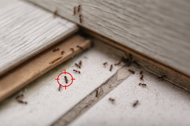Pest Control for Restaurants in Byron, MN