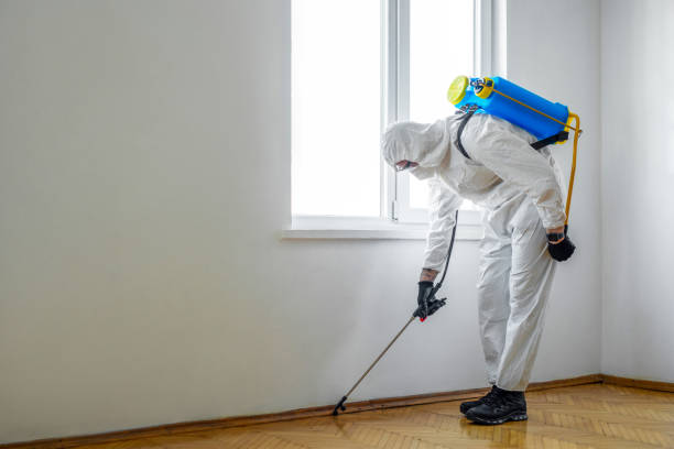 Best Mosquito Control Services  in Byron, MN