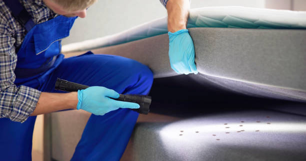 Best Pest Control Near Me  in Byron, MN