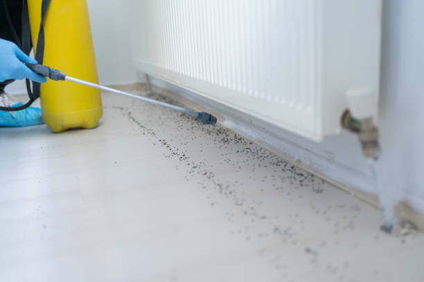 Best Affordable Pest Control Services  in Byron, MN