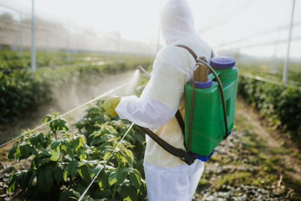 Best Best Pest Control Companies  in Byron, MN
